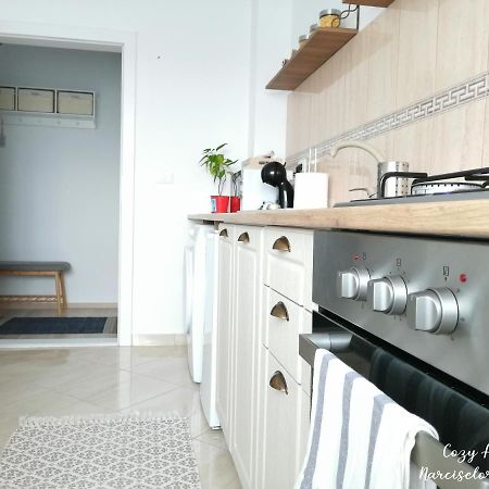 Cozy Apartment Narciselor Suceava Ipotesti  外观 照片