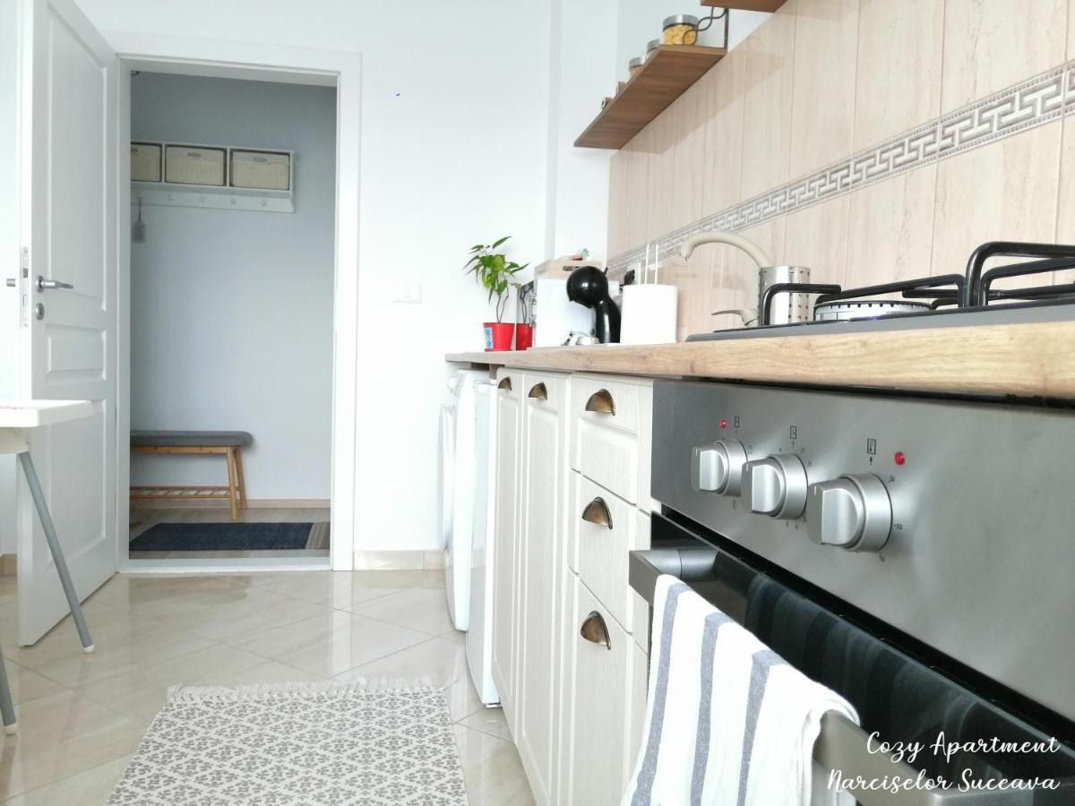 Cozy Apartment Narciselor Suceava Ipotesti  外观 照片