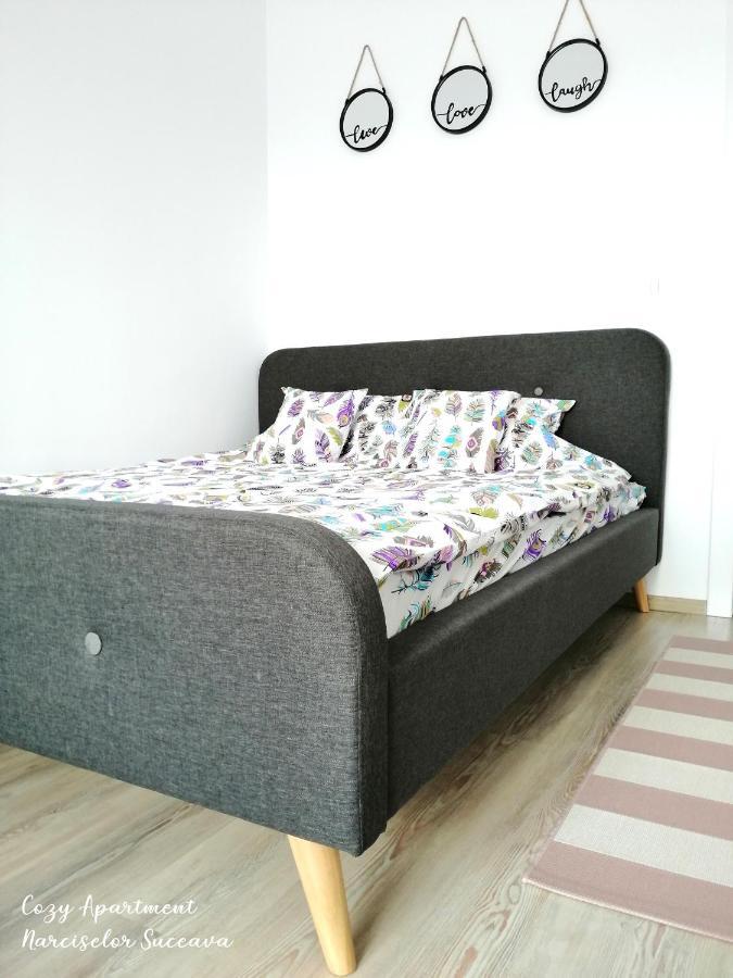 Cozy Apartment Narciselor Suceava Ipotesti  外观 照片