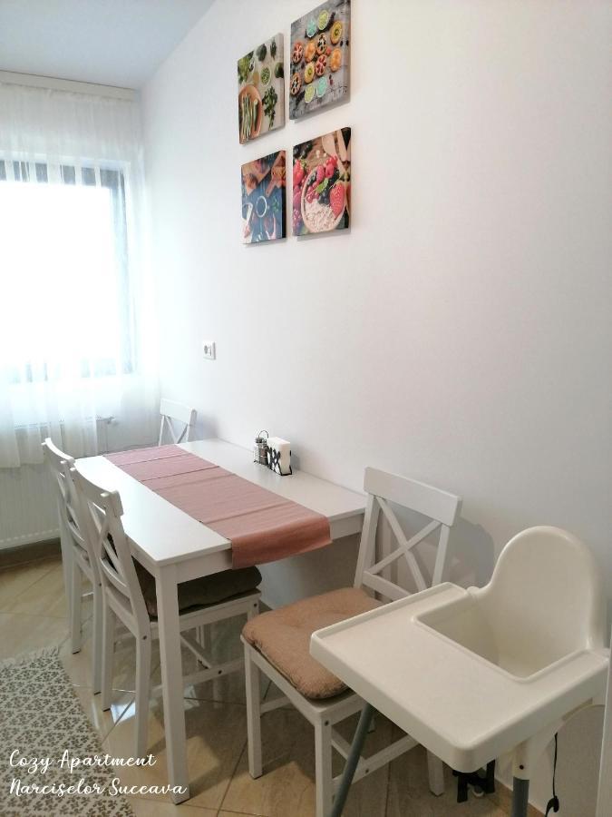 Cozy Apartment Narciselor Suceava Ipotesti  外观 照片