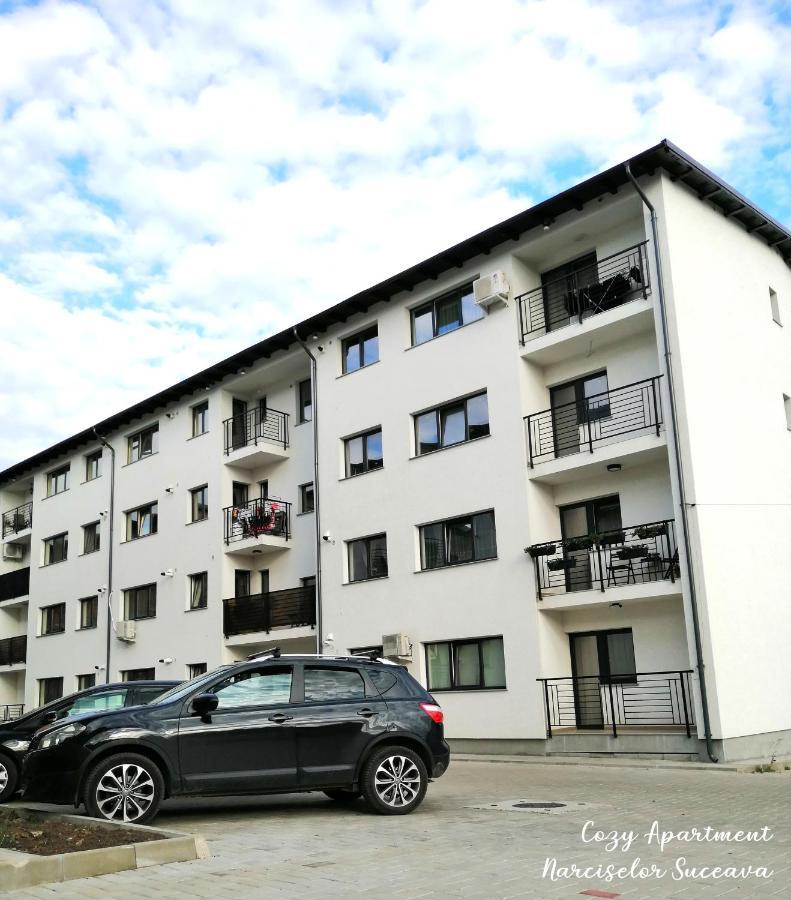 Cozy Apartment Narciselor Suceava Ipotesti  外观 照片