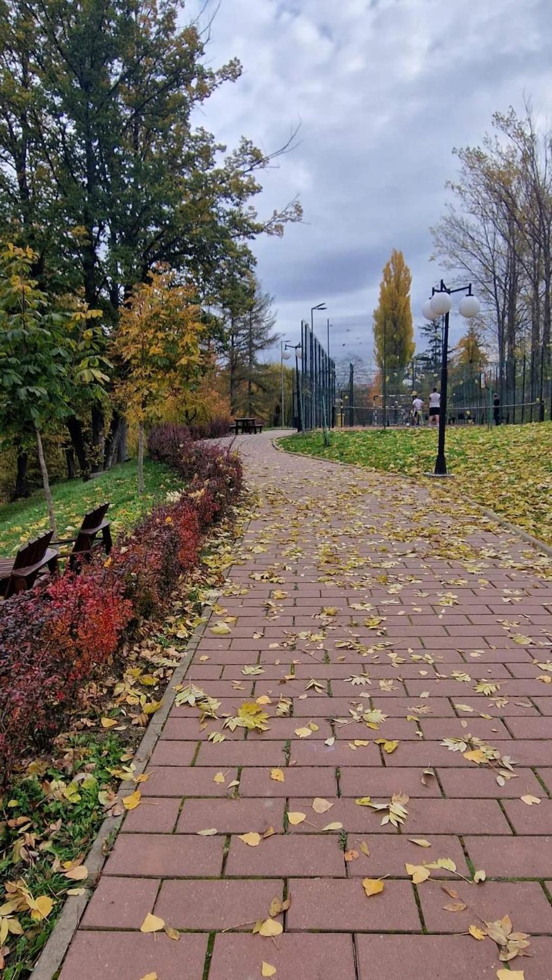 Cozy Apartment Narciselor Suceava Ipotesti  外观 照片